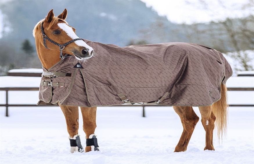 The Conclusive Guide on Fleece Horse Blankets